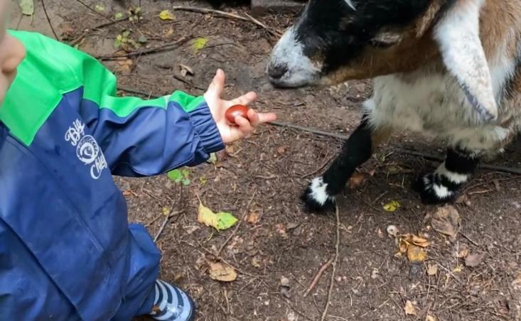 Ferienwohnung Auf Einem Resthof Zentral Gelegen Mit Viel Natur Und Tieren Rendswuhren Zewnętrze zdjęcie