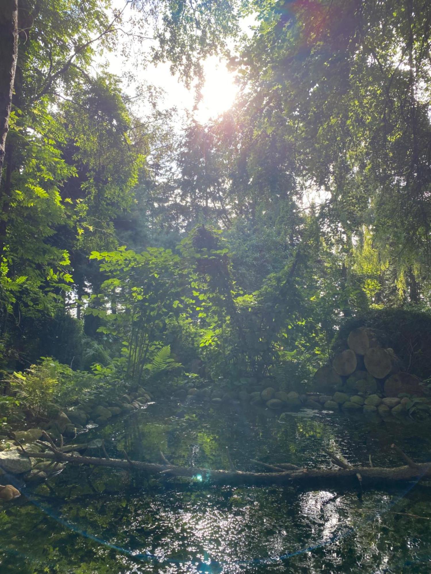 Ferienwohnung Auf Einem Resthof Zentral Gelegen Mit Viel Natur Und Tieren Rendswuhren Zewnętrze zdjęcie